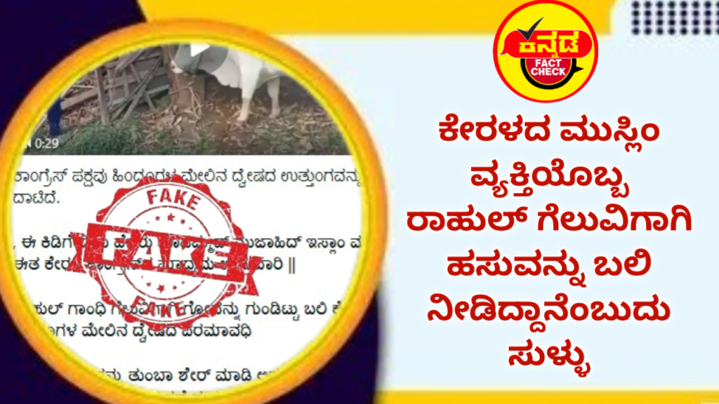Fact Check: ಕೇರಳದ ಮುಸ್ಲಿಂ ವ್ಯಕ್ತಿಯೊಬ್ಬ ರಾಹುಲ್ ಗೆಲುವಿಗಾಗಿ ಹಸುವನ್ನು ಬಲಿ ನೀಡಿದ್ದಾನೆಂಬುದು ಸುಳ್ಳು